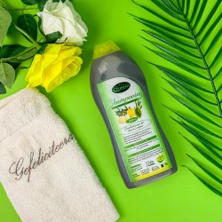 Quesiah - Shampooing 500mL